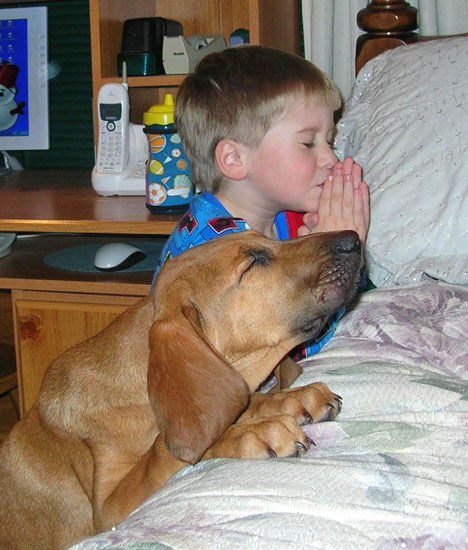 Child in Prayer