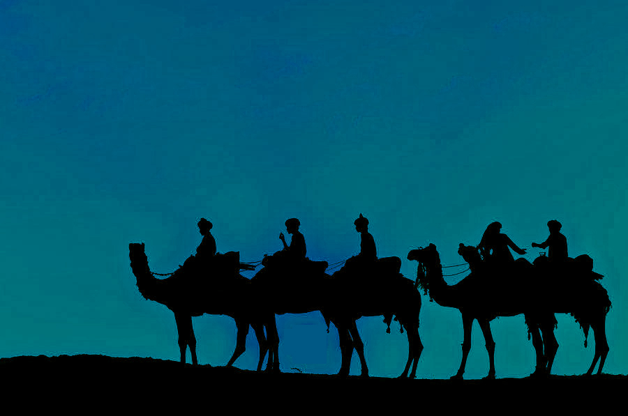 Camel Caravan
