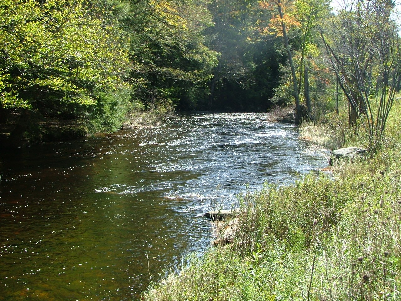 A gently flowing stream.